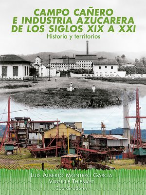 cover image of Campo cañero e industria azucarera de los siglos XIX  a XXI